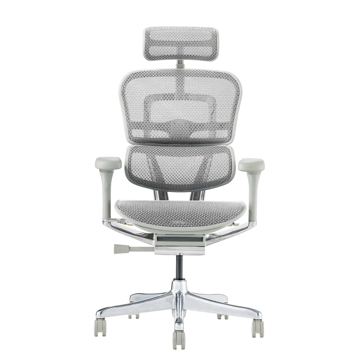 Ergohuman Pro2(エルゴヒューマン プロ2) ハイタイプ メッシュチェア