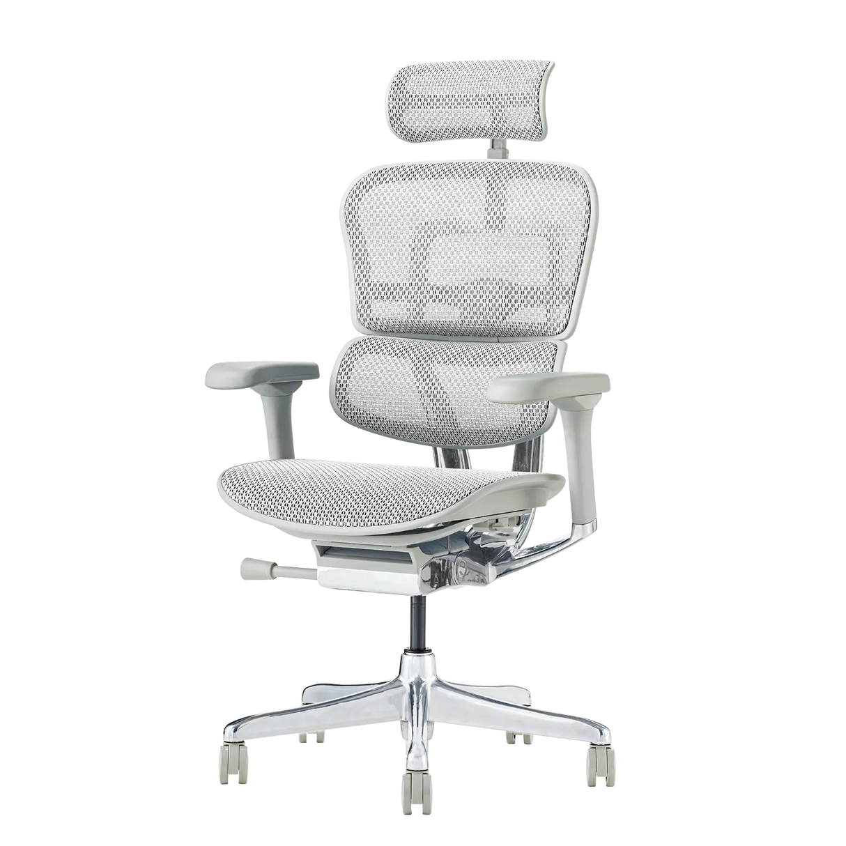 Ergohuman Pro2(エルゴヒューマン プロ2) ハイタイプ メッシュチェア