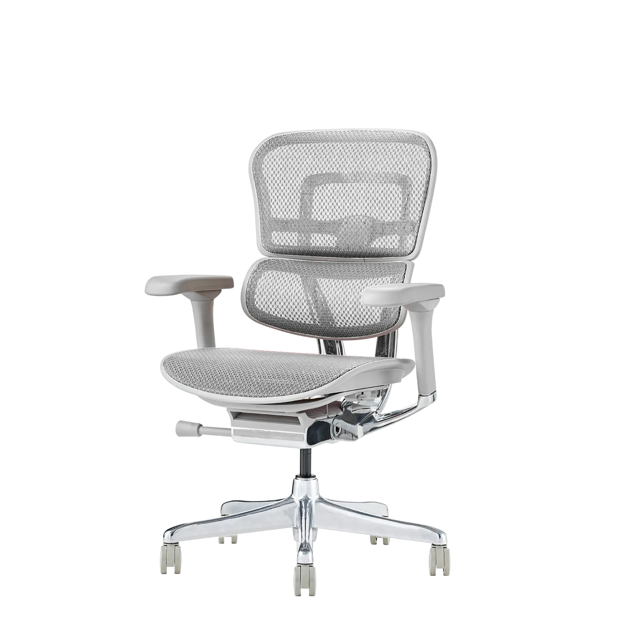 Ergohuman Pro2(エルゴヒューマン プロ2) ロータイプ メッシュチェア