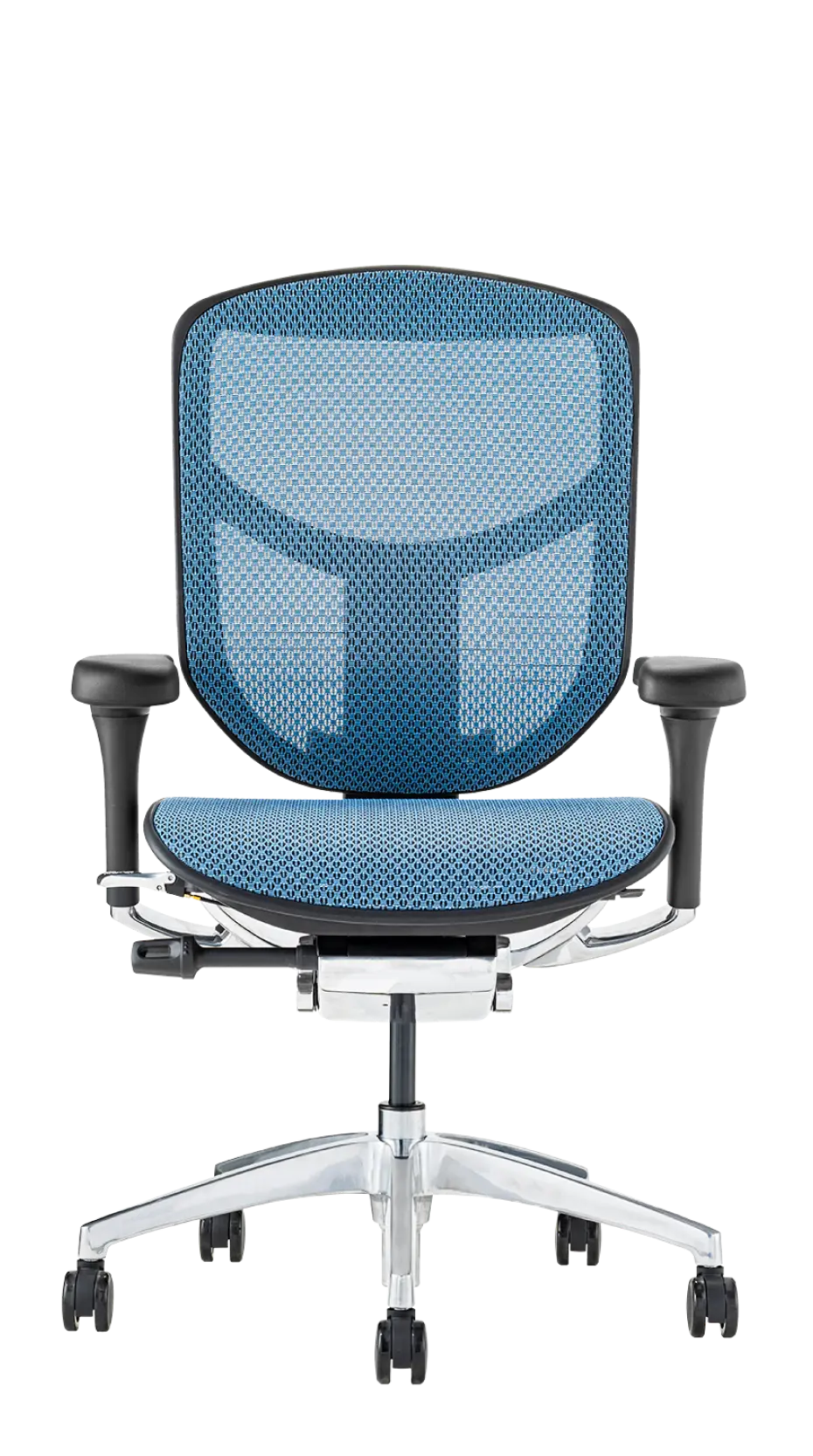 Ergohuman ENJOY2(エルゴヒューマン エンジョイ2) ロータイプ メッシュチェア