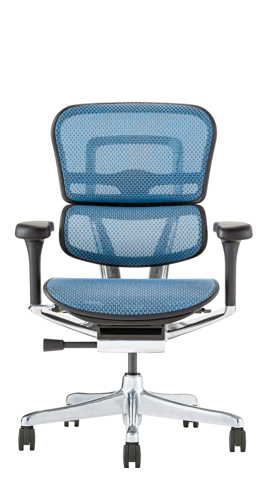 Ergohuman Pro2(エルゴヒューマン プロ2) ロータイプ メッシュチェア