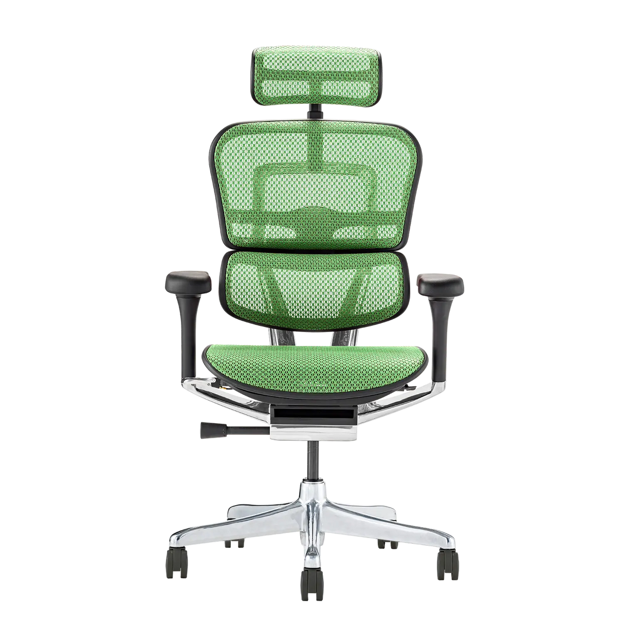 Ergohuman Pro2(エルゴヒューマン プロ2) ハイタイプ メッシュチェア