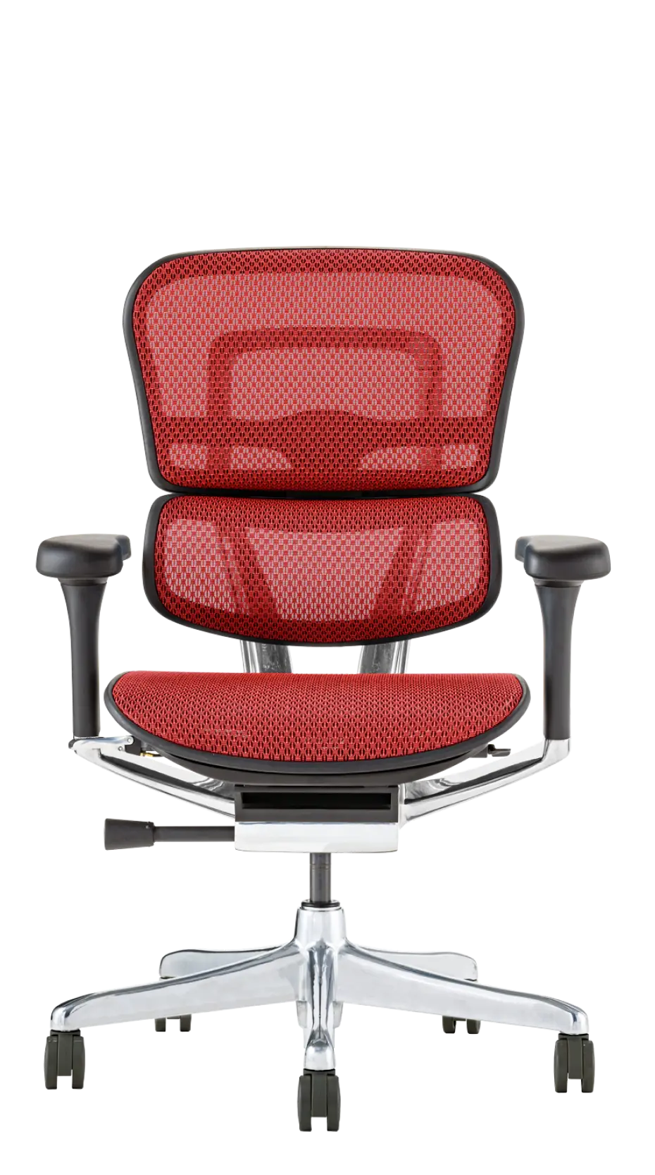 Ergohuman Pro2(エルゴヒューマン プロ2) ロータイプ メッシュチェア