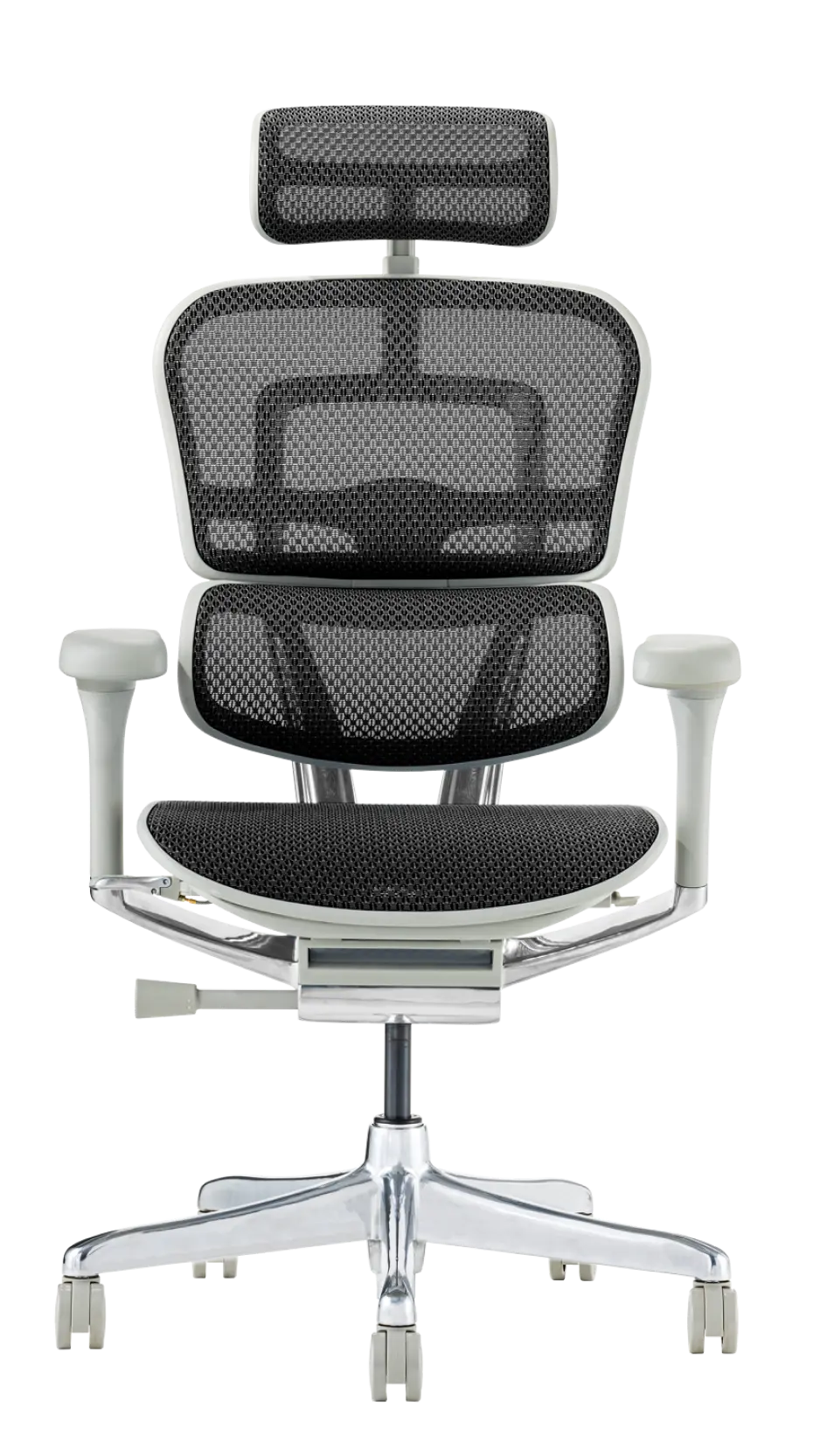 Ergohuman Pro2(エルゴヒューマン プロ2) ハイタイプ メッシュチェア