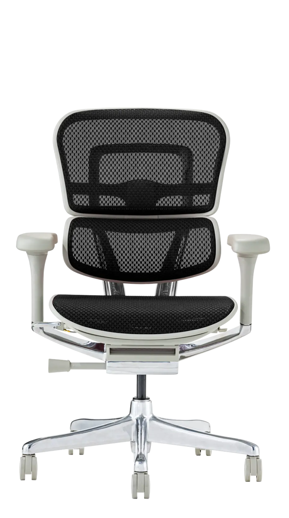 Ergohuman Pro2(エルゴヒューマン プロ2) ロータイプ メッシュチェア