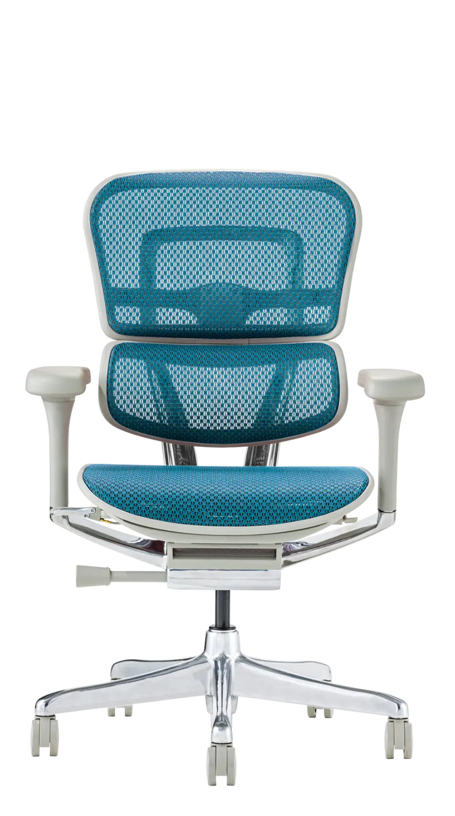 Ergohuman Pro2(エルゴヒューマン プロ2) ロータイプ メッシュチェア