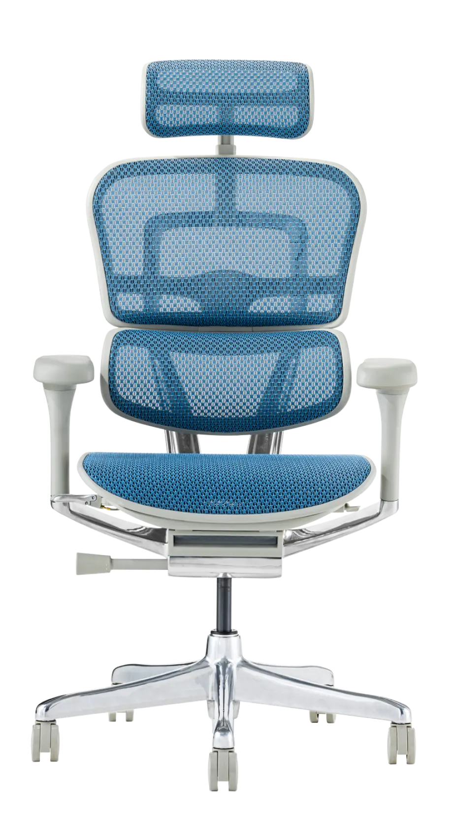 Ergohuman Pro2(エルゴヒューマン プロ2) ハイタイプ メッシュチェア