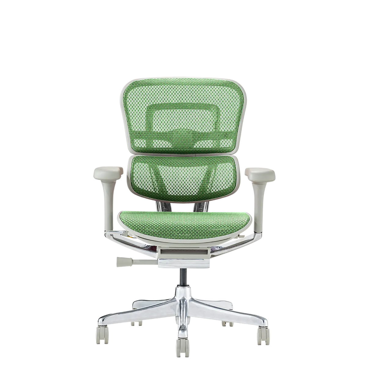 Ergohuman Pro2(エルゴヒューマン プロ2) ロータイプ メッシュチェア