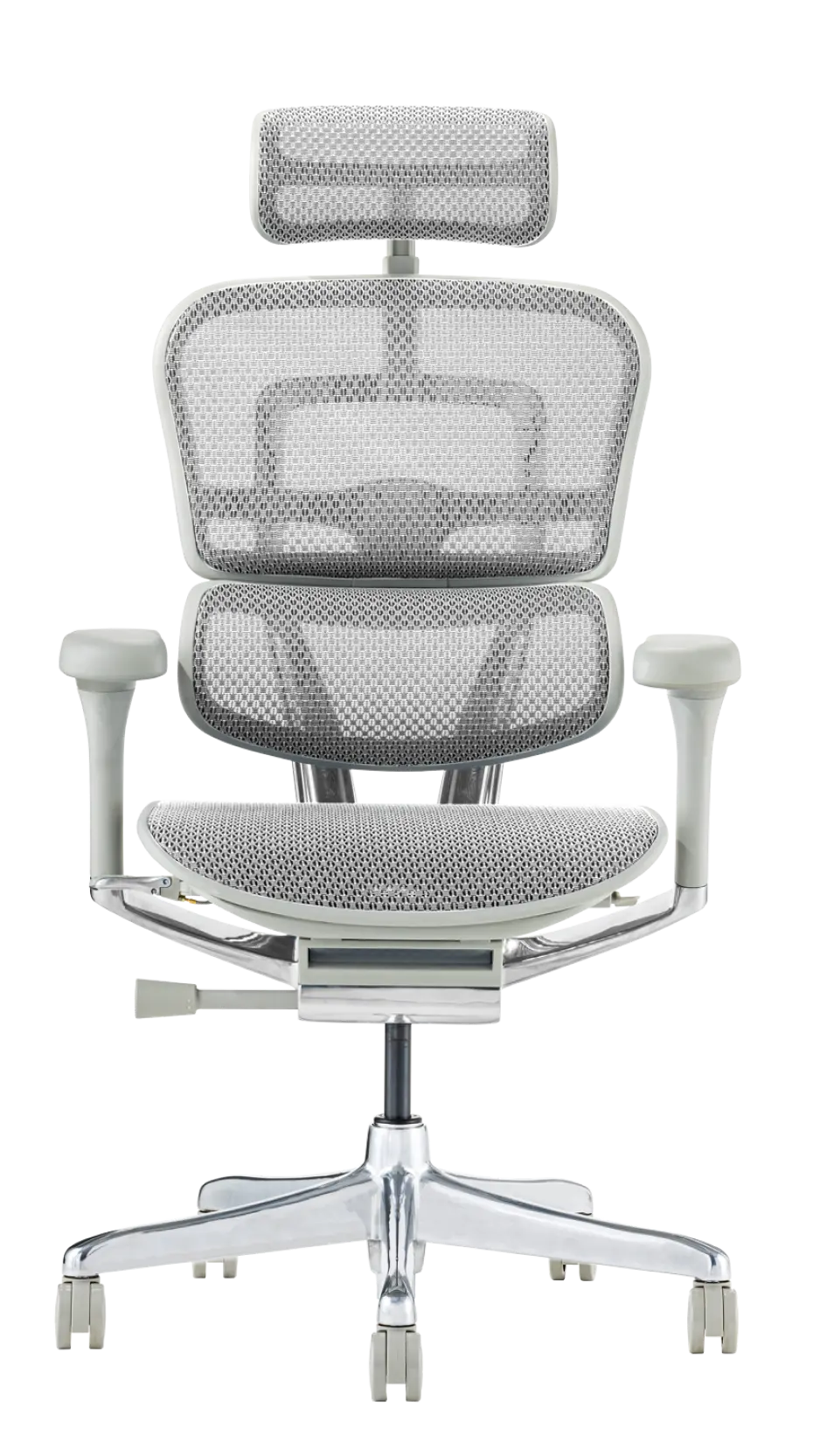 Ergohuman Pro2(エルゴヒューマン プロ2) ハイタイプ メッシュチェア