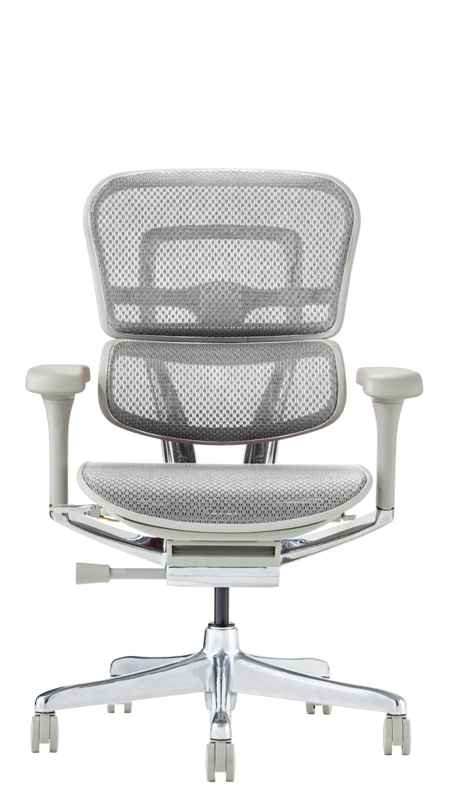 Ergohuman Pro2(エルゴヒューマン プロ2) ロータイプ メッシュチェア