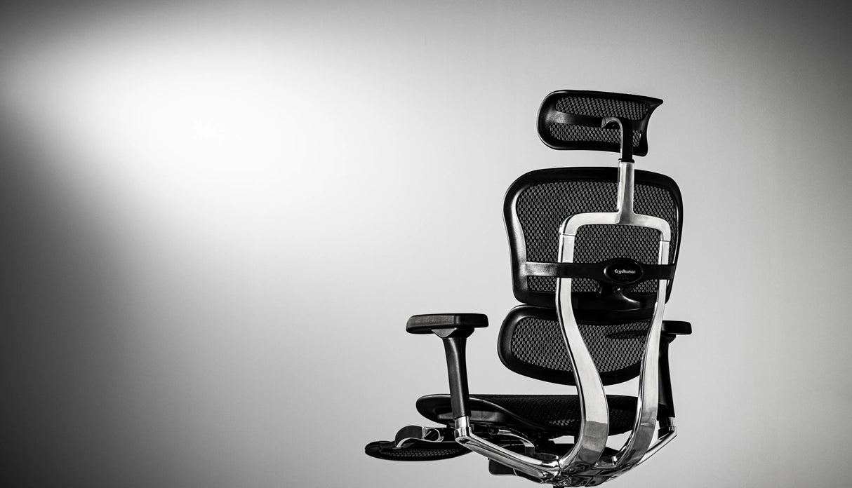 Ergohuman Pro2 Ottoman(エルゴヒューマン プロ2 オットマン) メッシュチェア