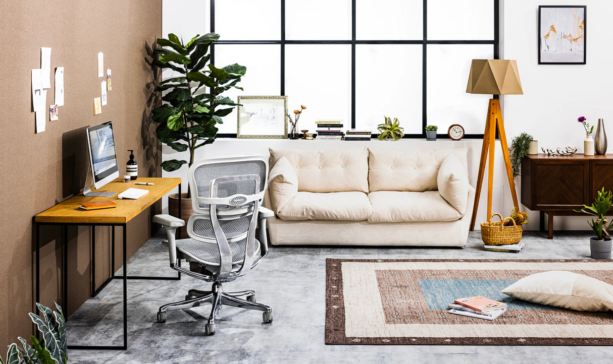 Ergohuman Pro2(エルゴヒューマン プロ2) ロータイプ メッシュチェア