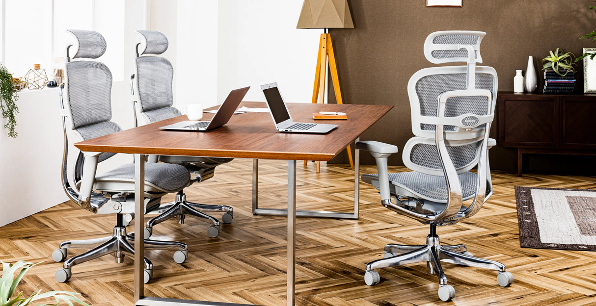 Ergohuman Pro2(エルゴヒューマン プロ2) ハイタイプ メッシュチェア