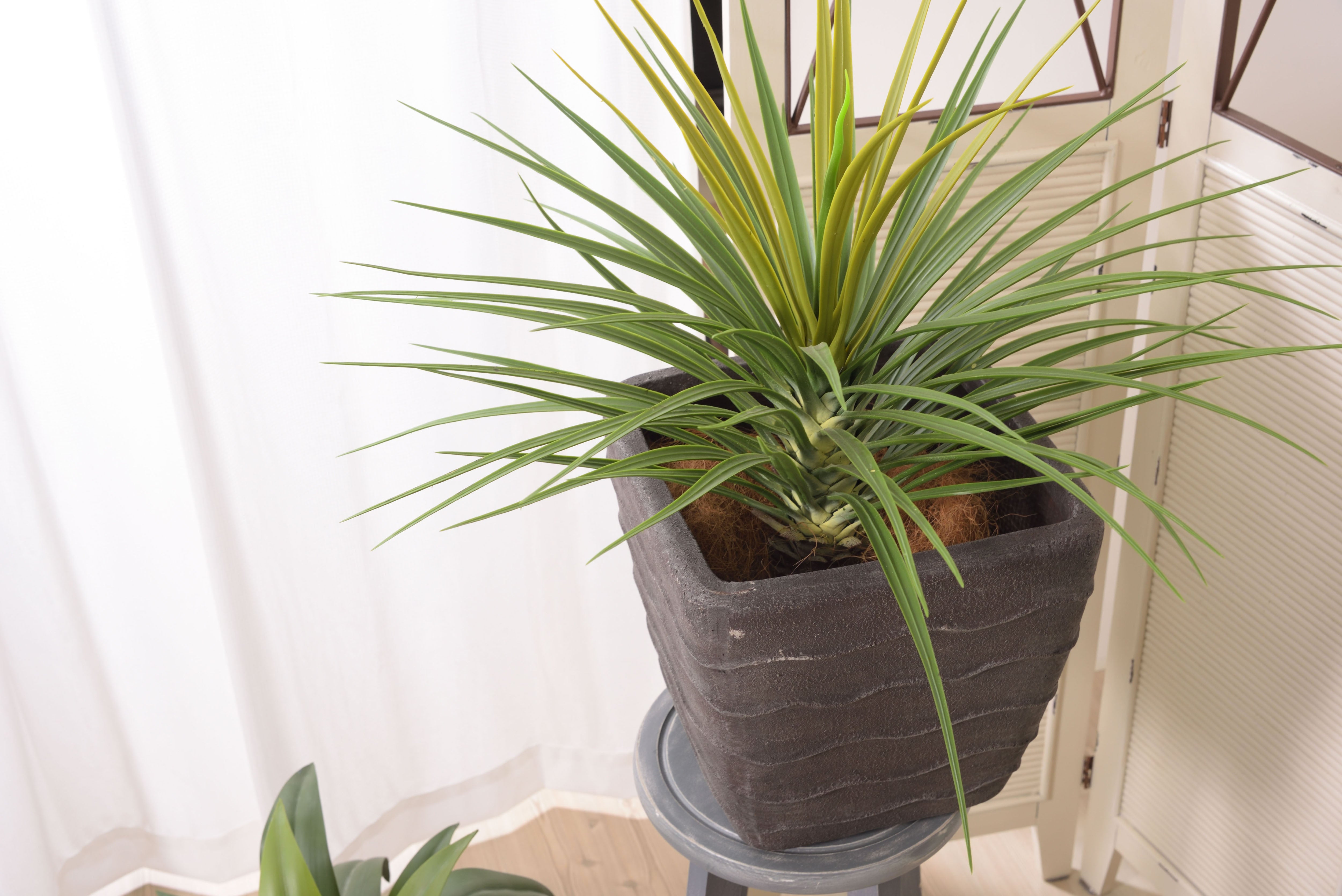 フェイクグリーン ミニパイナップル - オフィス空間Online